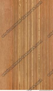 Photo Texture of Wood 0003